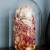 Indeco Flowers Dried Flower Dome Cloche Bell Jar Royal Ombre