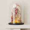 Indeco Flowers Dried Flower Dome Cloche Bell Jar Royal Ombre