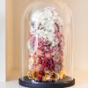 Indeco Flowers Dried Flower Dome Cloche Bell Jar Royal Ombre