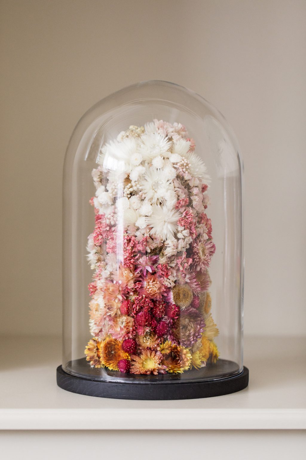 Indeco Flowers Dried Flower Dome Cloche Bell Jar Royal Ombre