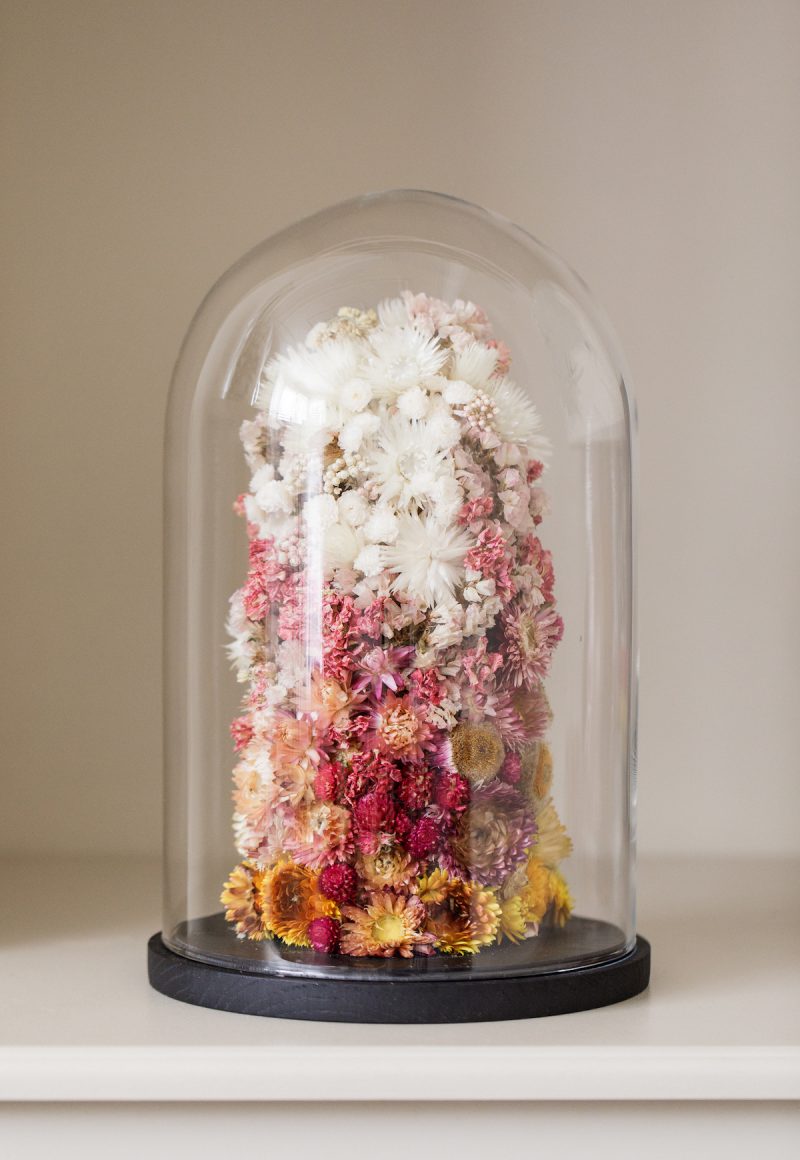 Indeco Flowers Dried Flower Dome Cloche Bell Jar Royal Ombre