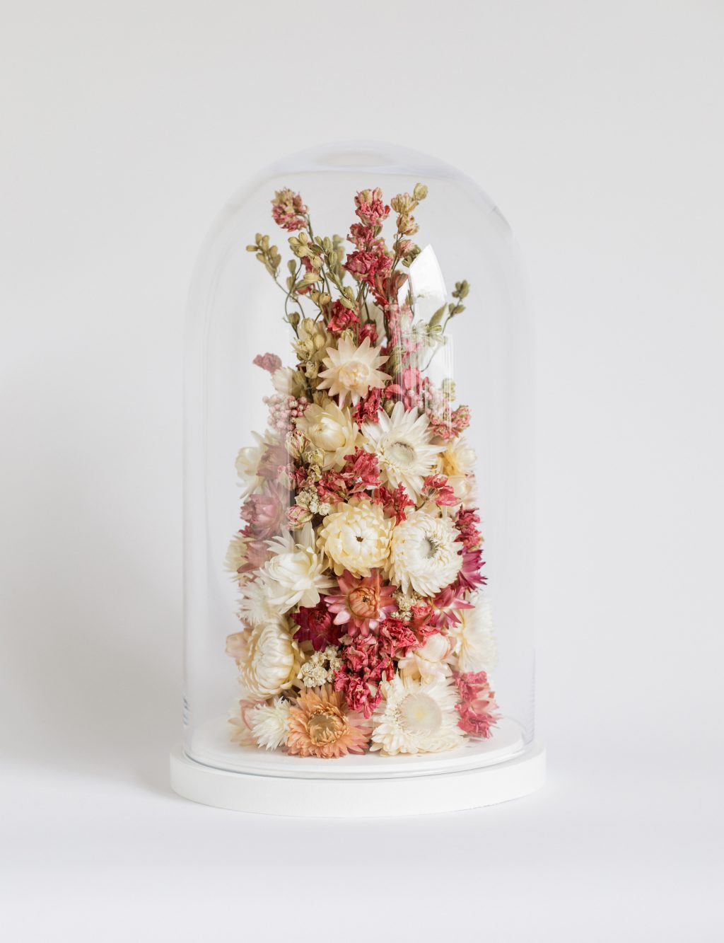 Indeco Flowers Dried Flower Dome cloche bell jar Mother of Pearls