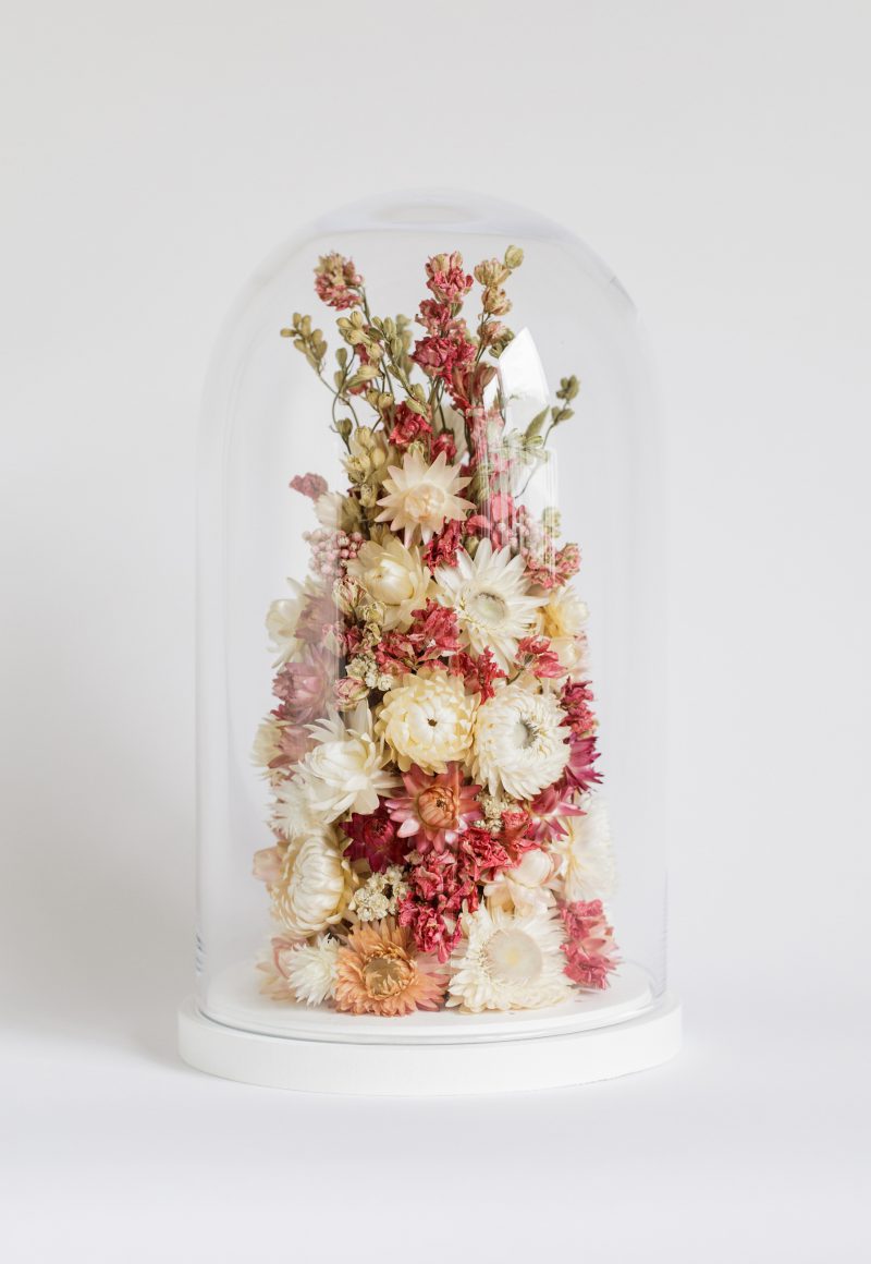 Indeco Flowers Dried Flower Dome cloche bell jar Mother of Pearls